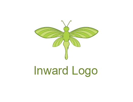green dragonfly
