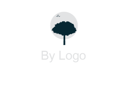 circle behind tree