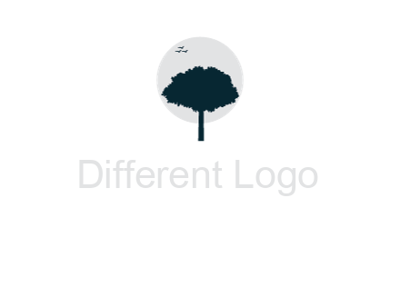 circle behind tree