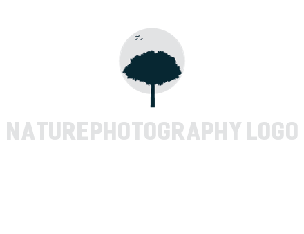 circle behind tree
