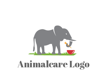 elephant holding chopsticks with grass and bowl