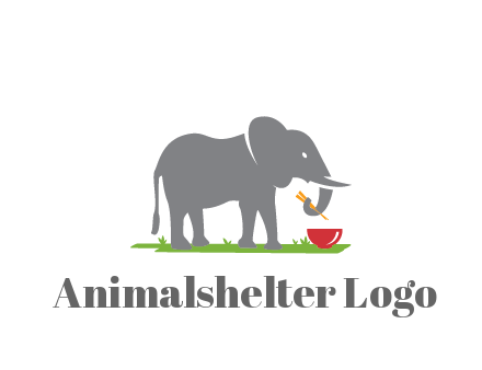 elephant holding chopsticks with grass and bowl