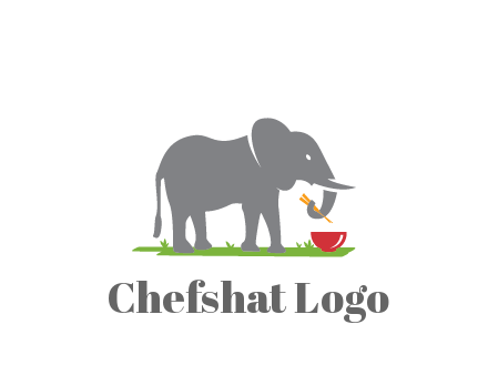 elephant holding chopsticks with grass and bowl