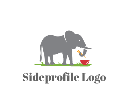 elephant holding chopsticks with grass and bowl