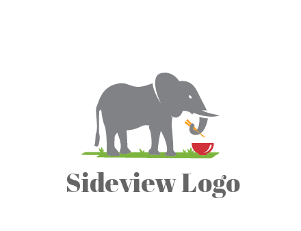 elephant holding chopsticks with grass and bowl