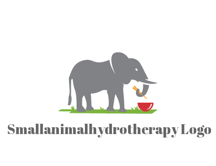 elephant holding chopsticks with grass and bowl