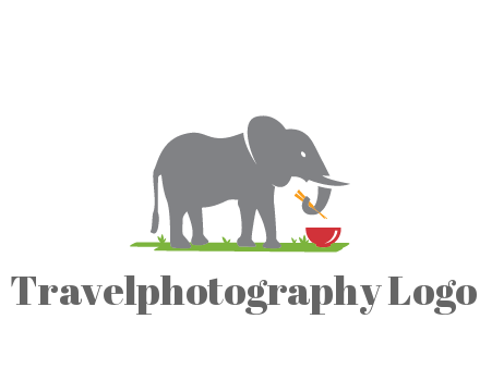 elephant holding chopsticks with grass and bowl