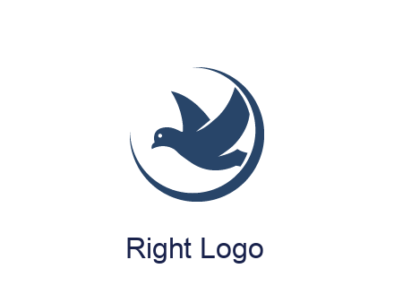 bird in swoosh circle