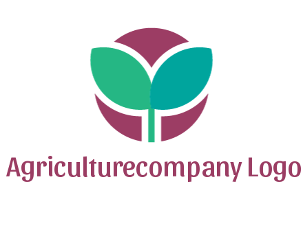 circle behind leaves