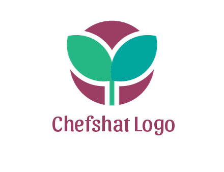 circle behind leaves