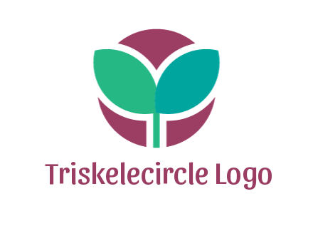 circle behind leaves
