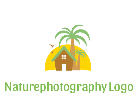 sun behind house with palm trees