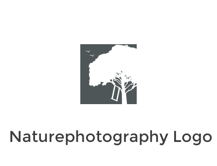 negative spacing tree in square