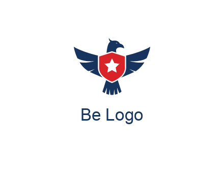 eagle behind shield with star