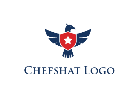 eagle behind shield with star