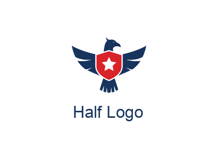 eagle behind shield with star