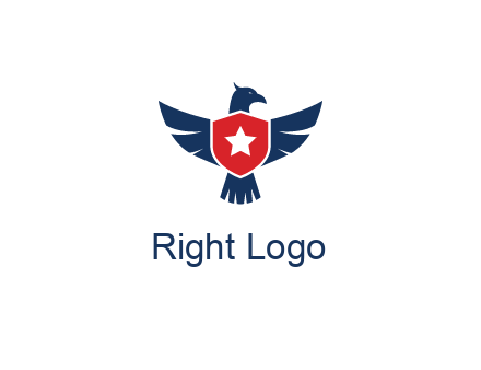 eagle behind shield with star