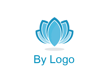 abstract lotus flower