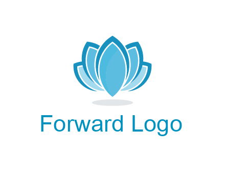 abstract lotus flower