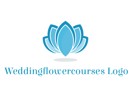 abstract lotus flower