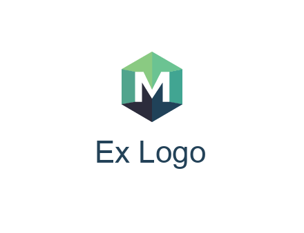 letter M in polygonal hexagon