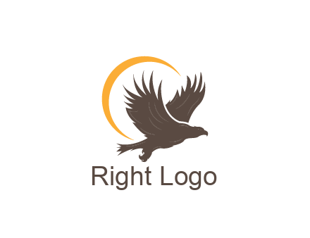 eagle silhouette with crescent
