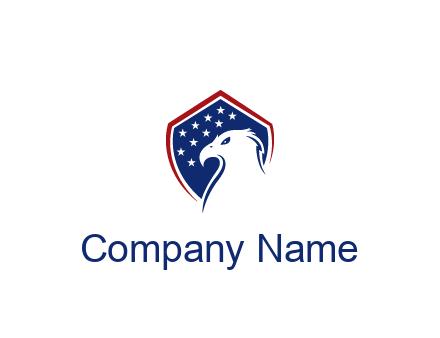 negative spacing eagle head with in shield with stars