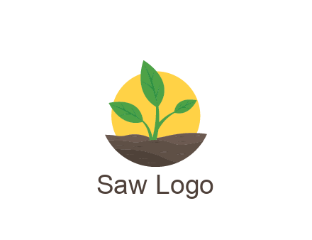 sun behind plant in soil