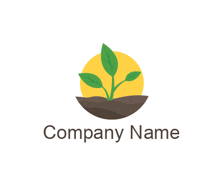 sun behind plant in soil