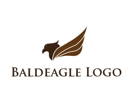 eagle wing aviation logo
