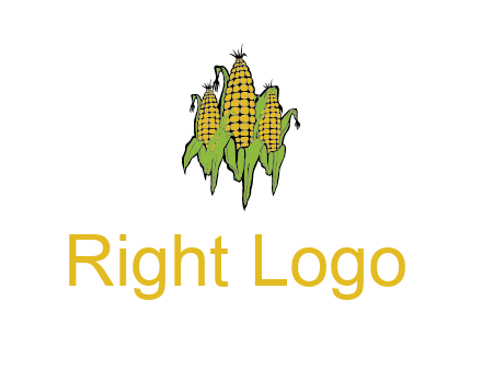 corn on cobs agriculture graphic