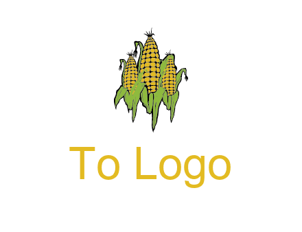 corn on cobs agriculture graphic