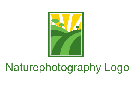sun rays on trees and field agriculture logo
