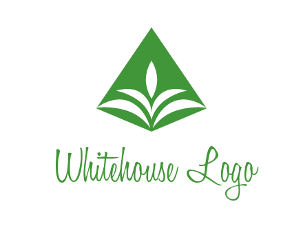 abstract plant in rhombus agriculture logo