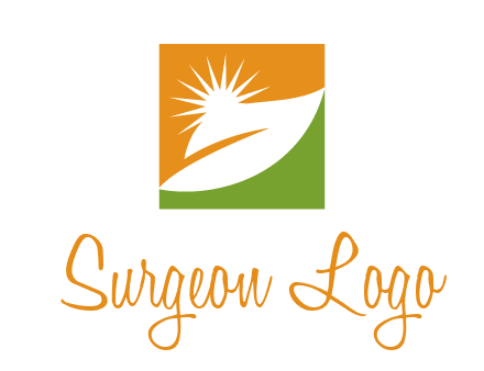 leaf and sun in square environment logo