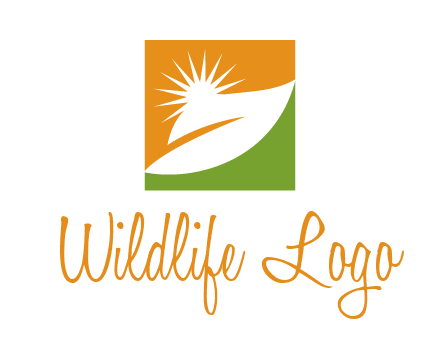 leaf and sun in square environment logo