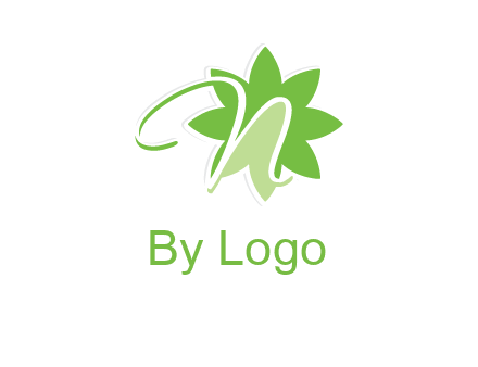 letter n is in the flower logo