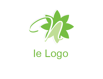 letter n is in the flower logo