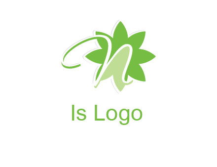 letter n is in the flower logo