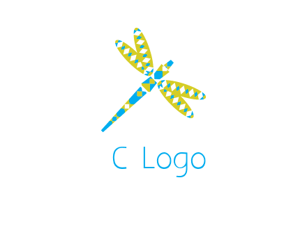 jewelry with dragonfly graphics
