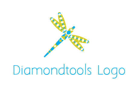 jewelry with dragonfly graphics