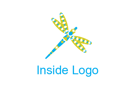 jewelry with dragonfly graphics