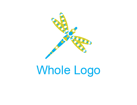 jewelry with dragonfly graphics
