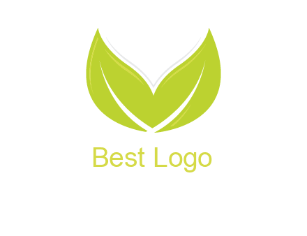 letter v leaves logo