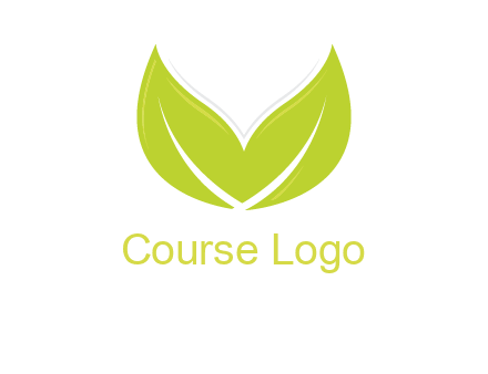 letter v leaves logo