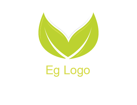 letter v leaves logo