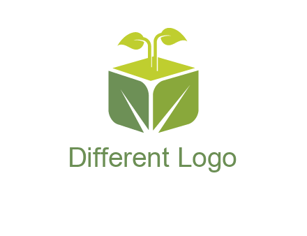 leaf box logo