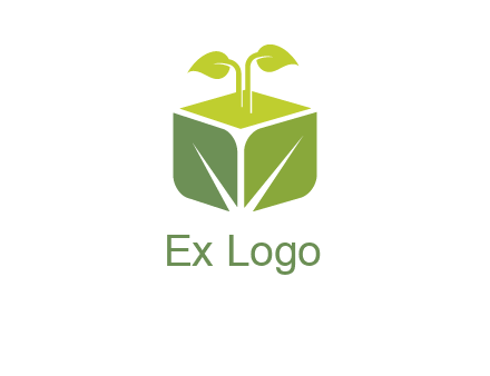 leaf box logo
