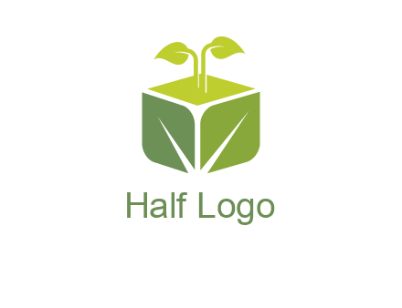 leaf box logo