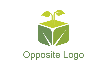 leaf box logo
